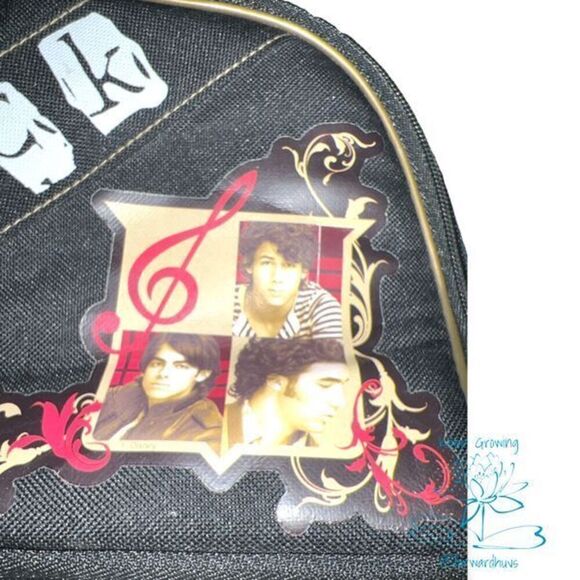 Rock Jonas Lunchbox by ZAK! - Preowned Jonas Brothers Lunch Bag - Picture 3 of 10